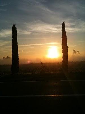 Nebbia.... e lieti eventi