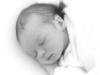 sonno-neonato sonno-neonato