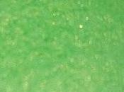 Trucco Verde!