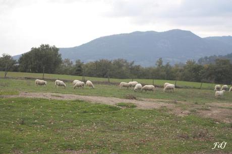 Maremma che figata