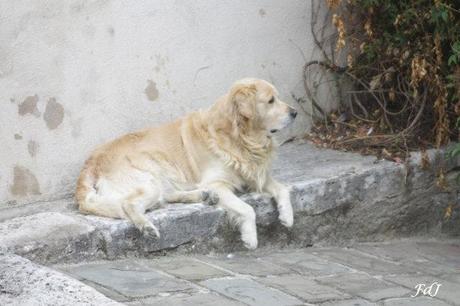 Maremma che figata