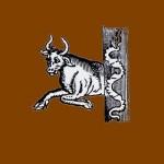 Affinità Zodiacale Toro Vergine