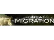 Parte stasera “Great Migrations”. Vive solo muove