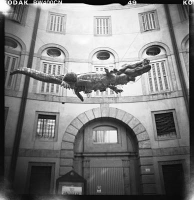 LOMOGRAPHY • photo-tour lomografico del FAUNAL COUNTDOWN a Ferrara