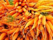 carote:come coltivarle.
