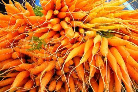 Le carote:come coltivarle.