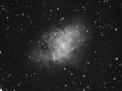 “Crab Nebula” Virtual Telescope