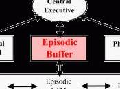 Memoria Lavoro: cos’è quali sono limiti. parte