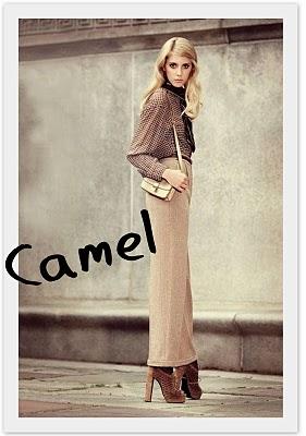 Trends Enciclopedia: Camel