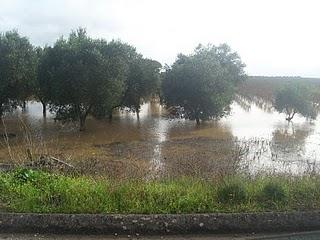 La sfida del Sud Est: come proteggere il Salento leccese dalle alluvioni?