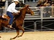 Verona, Fieracavalli 2010