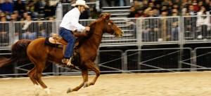 Verona, Fieracavalli 2010