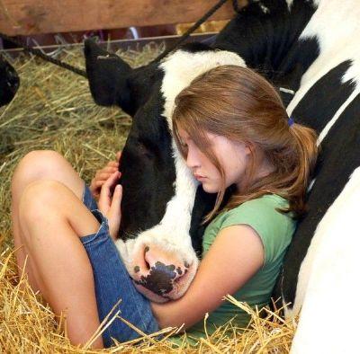 Solo una multa per sadico lancio di cuccioli