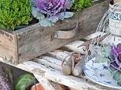 Decorazioni autunnali novembre