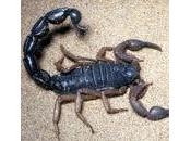 viaggio della speranza