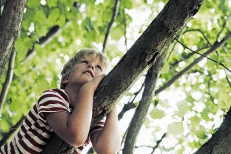 IL BAMBINO HA BISOGNO DI RECUPERARE  IL CONTATTO CON LA NATURA