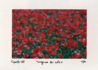 papaveri, di quando si parlava della fine del millennio (7)