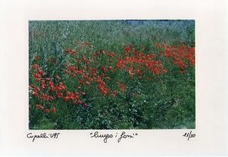 papaveri, di quando si parlava della fine del millennio (7)