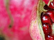 ultime melagrane latest pomegranates