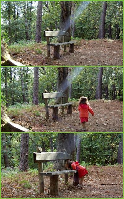 Alla ricerca del pupazzo di neve nel bosco in una giornata di metà settembre.