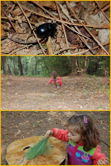 Alla ricerca del pupazzo di neve nel bosco in una giornata di metà settembre.