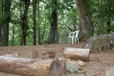 Alla ricerca del pupazzo di neve nel bosco in una giornata di metà settembre.