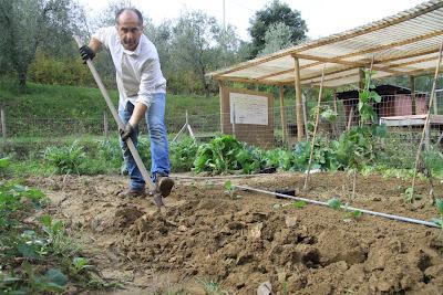 un sabato nell'orto
