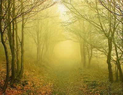 Pensiero Poetico...Nebbia