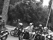 Rome Distinguished Riders