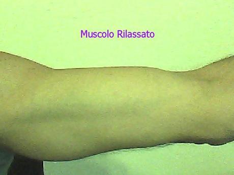 Muscolo Rilassato