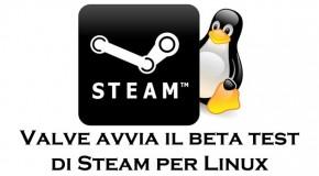 Steam per Linux: via al beta test - Logo