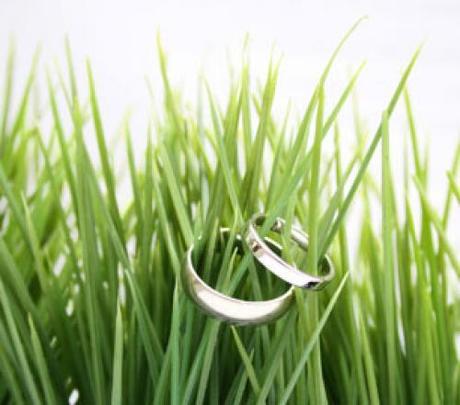 Tendenze. Il matrimonio si fa Green ed Eco-Chic