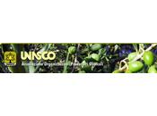 Luigi Canino nuovo presidente UNASCO.