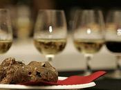 Fiera Tartufo Acqualagna. brindisi vini marchigiani