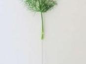 straws