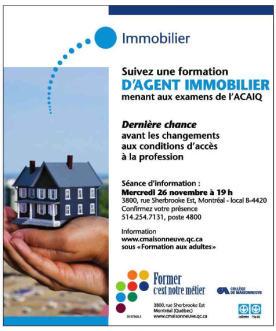 Agente immobiliare francese ha trovato una soluzione originale per vender case !