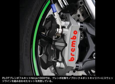 Kawasaki Ninja 1000 by Nojima Japan