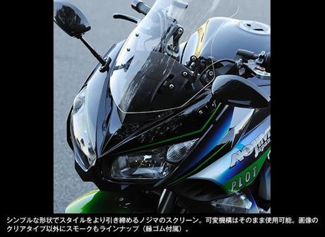 Kawasaki Ninja 1000 by Nojima Japan