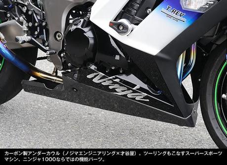 Kawasaki Ninja 1000 by Nojima Japan