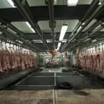 La macelleria 'Human butchery' apre a Londra06