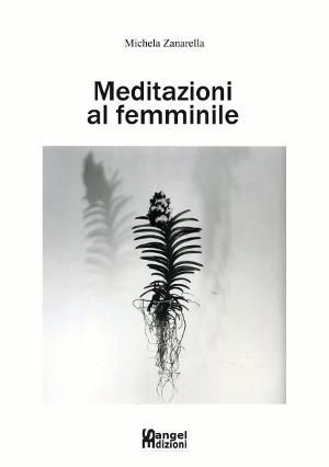 Recensione: Meditazioni al femminile