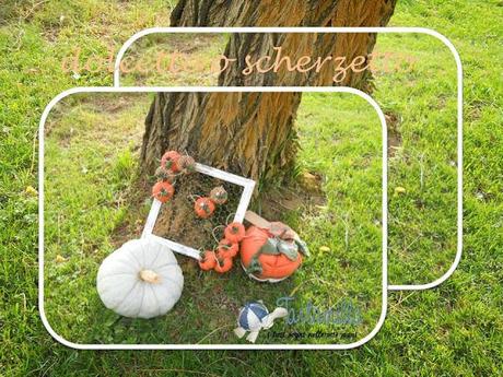 Pumpkins, citrouilles, zucche, pompoenen, carbasses