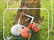 Pumpkins, citrouilles, zucche, pompoenen, carbasses