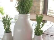 Centrotavola.......rustici!!!!