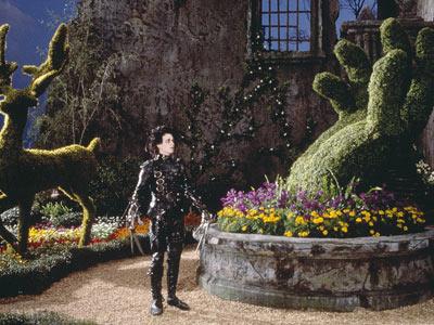 I Tagli della Politica a Solbiate Olona  :-)