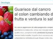 Curare tumore l'alimentazione: frutta verdura cruda, selenio, semi albicocca cavolacee