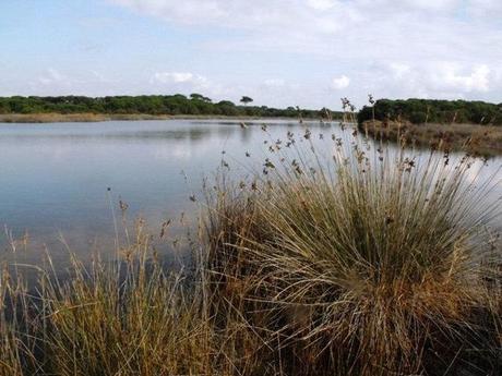 Parco Naturale Maremma