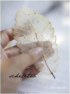 Craft da fare con le foglie vere