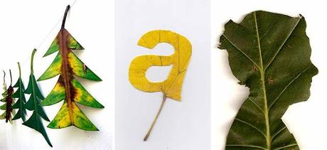 Craft da fare con le foglie vere