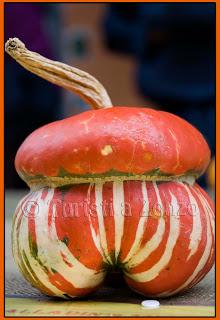 Allegria e colori alla Sagra della Zucca di Piozzo